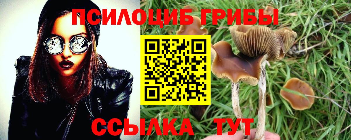 Мыски  Галлюциногенные грибы Magic Shrooms  Псилоцибиновые грибы GOLDEN TEACHER  Вход с VPN 